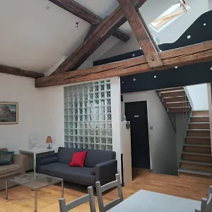 Loft Viarhona, Grand Loft En Centre-ville Lione
